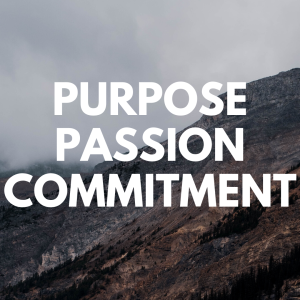 We need to run our race with purpose, passion and commitment.